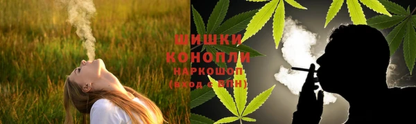 шишки Верхний Тагил