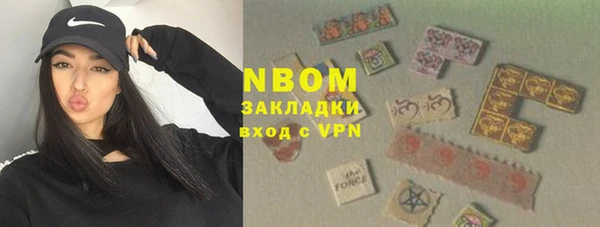 шишки Верхний Тагил