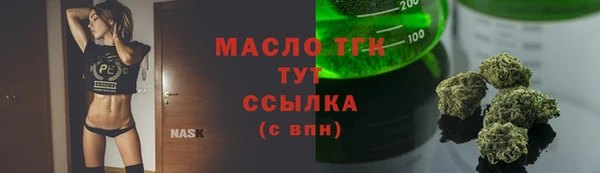 шишки Верхний Тагил