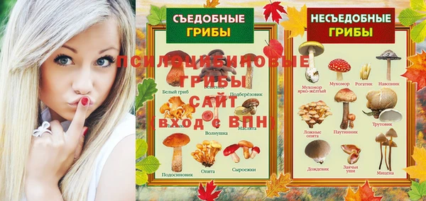 2c-b Верхнеуральск