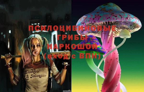 шишки Верхний Тагил