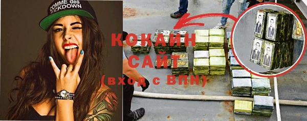 шишки Верхний Тагил