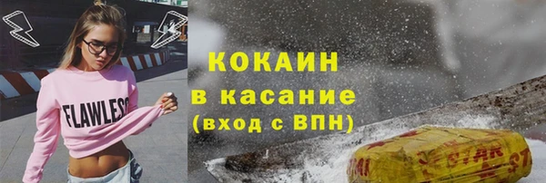 шишки Верхний Тагил
