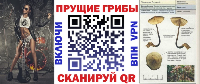 Купить где  Бакал  Галлюциногенные грибы ЛСД 